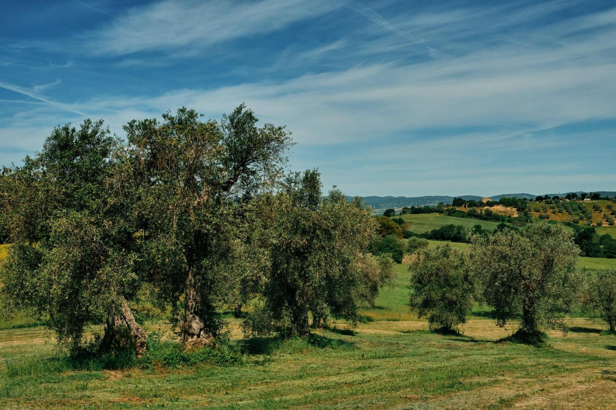 8380 Agriturismo Il Saragiolo Manciano Ngoại thất bức ảnh