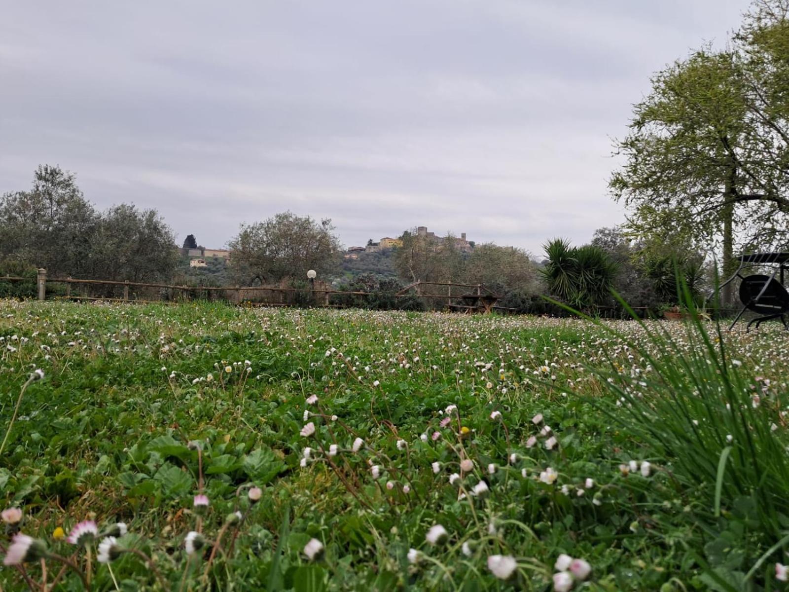 8380 Agriturismo Il Saragiolo Manciano Ngoại thất bức ảnh